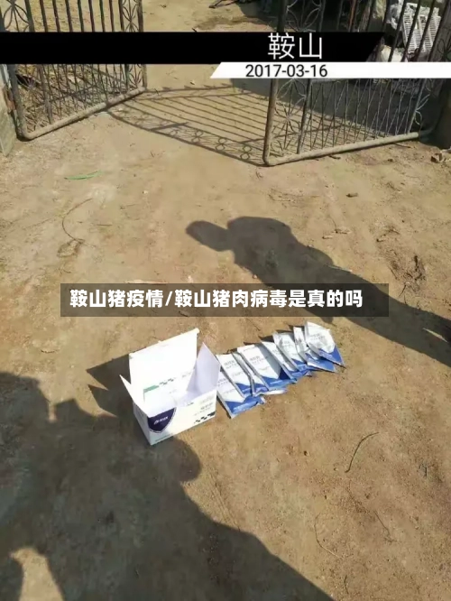 鞍山猪疫情/鞍山猪肉病毒是真的吗-第2张图片