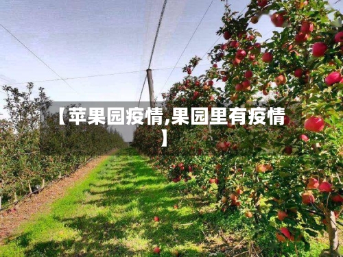 【苹果园疫情,果园里有疫情】