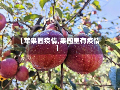 【苹果园疫情,果园里有疫情】-第3张图片