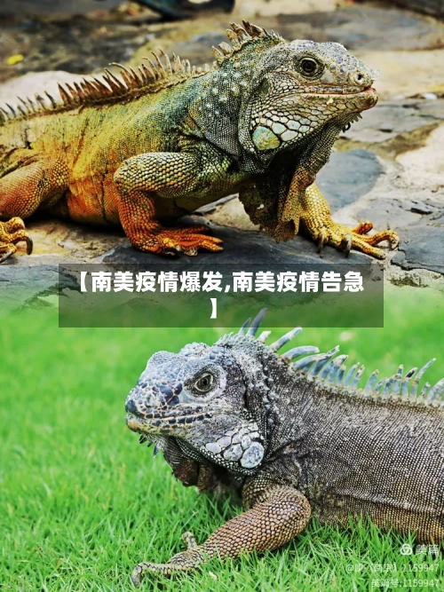 【南美疫情爆发,南美疫情告急】