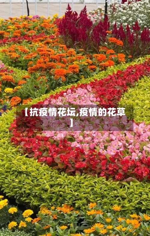 【抗疫情花坛,疫情的花草】-第3张图片