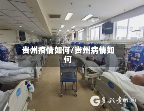 贵州疫情如何/贵州病情如何