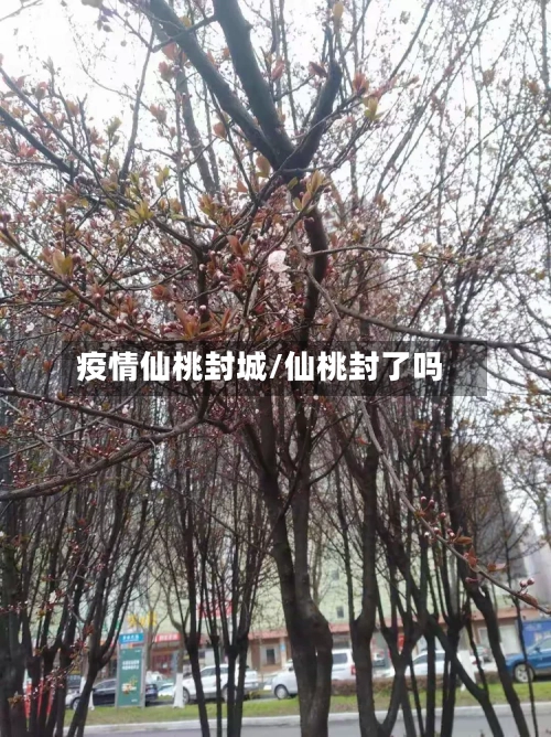 疫情仙桃封城/仙桃封了吗-第2张图片