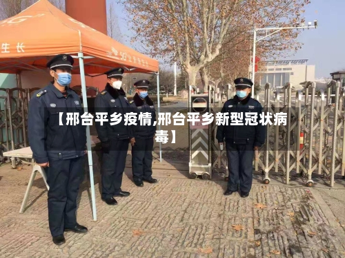 【邢台平乡疫情,邢台平乡新型冠状病毒】-第3张图片