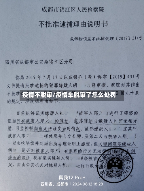 疫情不脱审/疫情车脱审了怎么处罚-第2张图片