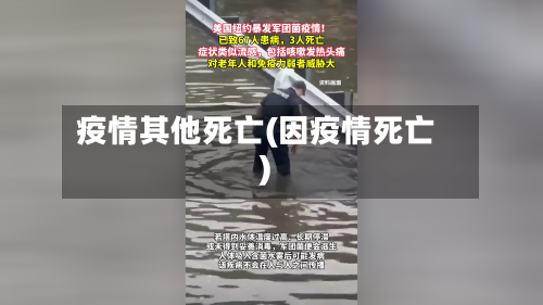 疫情其他死亡(因疫情死亡)