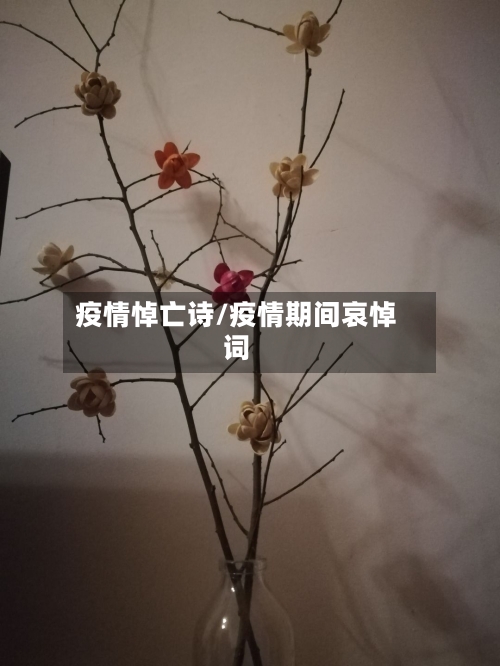 疫情悼亡诗/疫情期间哀悼词-第2张图片