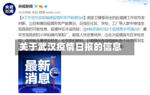 关于武汉疫情日报的信息-第2张图片