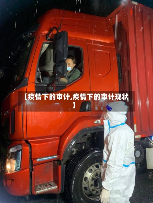 【疫情下的审计,疫情下的审计现状】-第2张图片