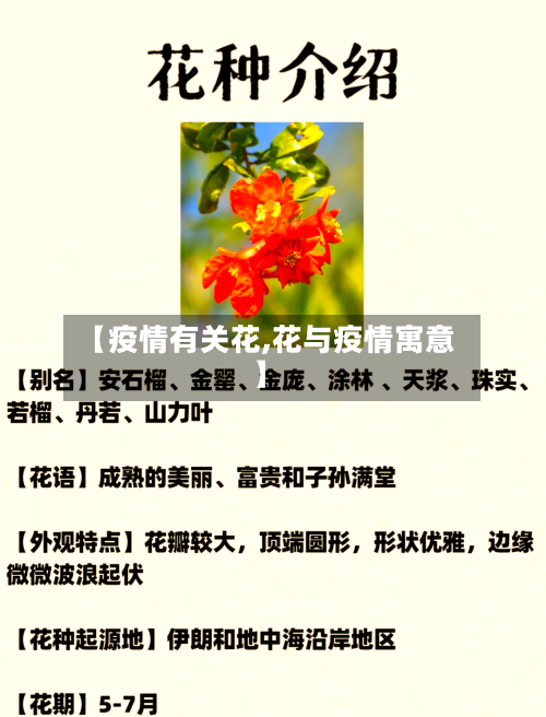 【疫情有关花,花与疫情寓意】-第2张图片