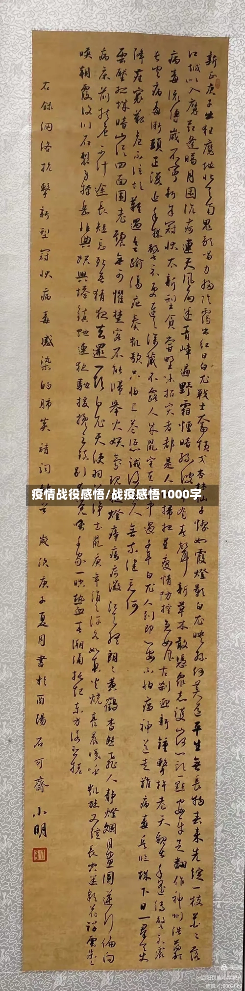 疫情战役感悟/战疫感悟1000字