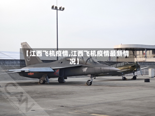 【江西飞机疫情,江西飞机疫情最新情况】-第2张图片