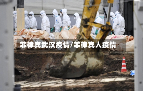 菲律宾武汉疫情/菲律宾人疫情