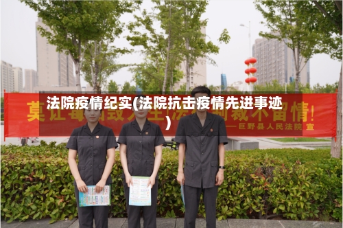 法院疫情纪实(法院抗击疫情先进事迹)-第2张图片
