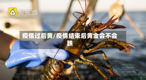 疫情过后黄/疫情结束后黄金会不会跌