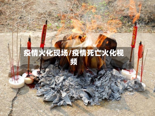 疫情火化现场/疫情死亡火化视频-第3张图片