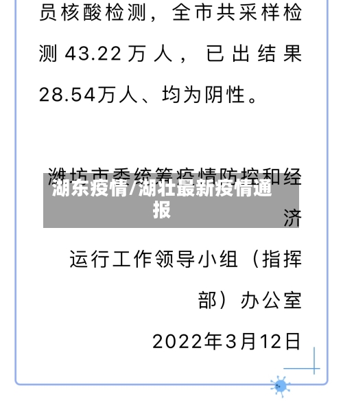 湖东疫情/湖壮最新疫情通报-第2张图片