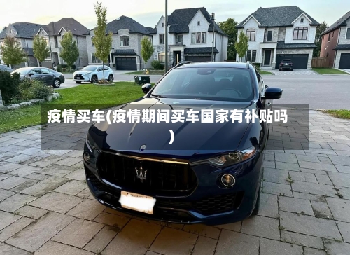 疫情买车(疫情期间买车国家有补贴吗)-第2张图片