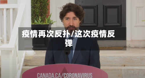 疫情再次反扑/这次疫情反弹-第2张图片