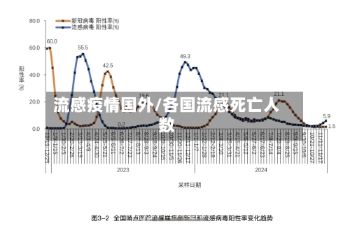 流感疫情国外/各国流感死亡人数