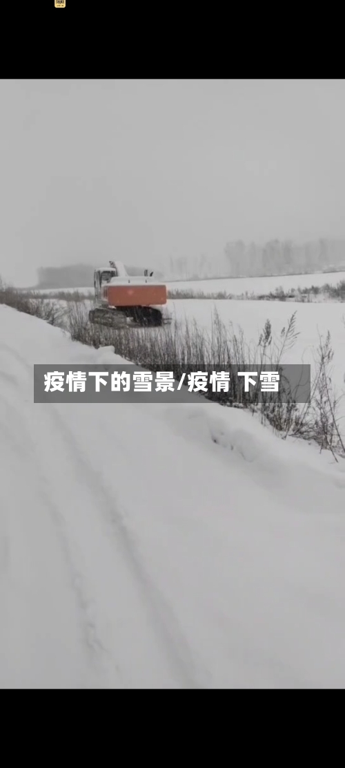 疫情下的雪景/疫情 下雪-第2张图片