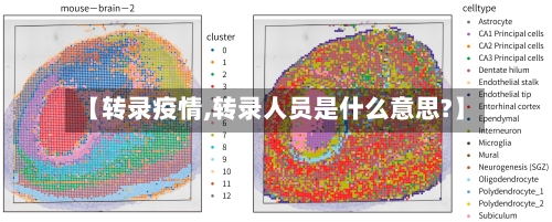 【转录疫情,转录人员是什么意思?】-第2张图片