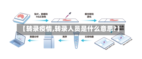 【转录疫情,转录人员是什么意思?】