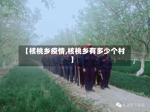 【核桃乡疫情,核桃乡有多少个村】