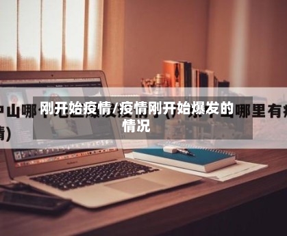 刚开始疫情/疫情刚开始爆发的情况-第2张图片