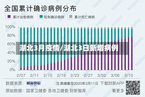 湖北3月疫情/湖北3日新增病例-第2张图片