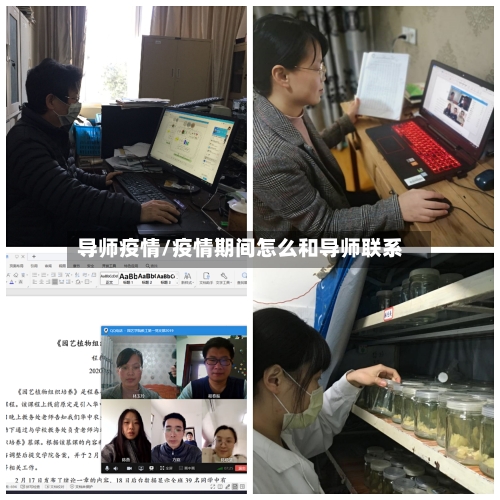 导师疫情/疫情期间怎么和导师联系-第2张图片