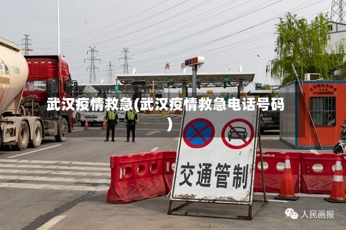 武汉疫情救急(武汉疫情救急电话号码)-第2张图片