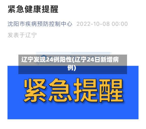 辽宁发现24例阳性(辽宁24日新增病例)-第2张图片