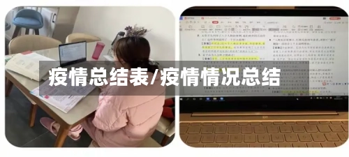 疫情总结表/疫情情况总结