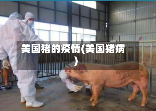 美国猪的疫情(美国猪病)-第2张图片