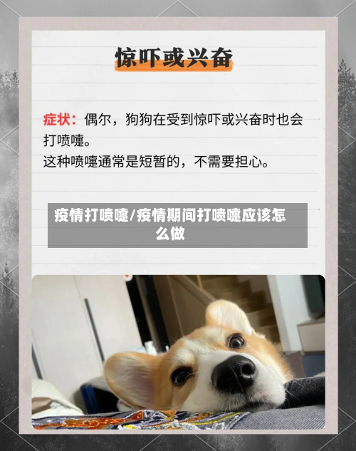 疫情打喷嚏/疫情期间打喷嚏应该怎么做