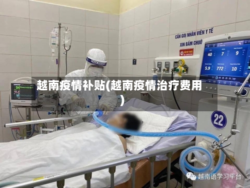 越南疫情补贴(越南疫情治疗费用)