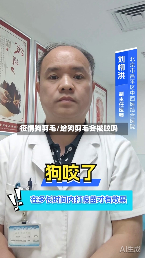 疫情狗剪毛/给狗剪毛会被咬吗-第3张图片