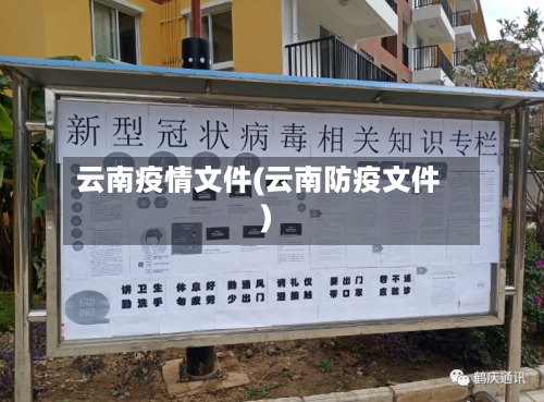 云南疫情文件(云南防疫文件)-第1张图片