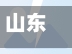 山东以疫情/山东疫请-第2张图片