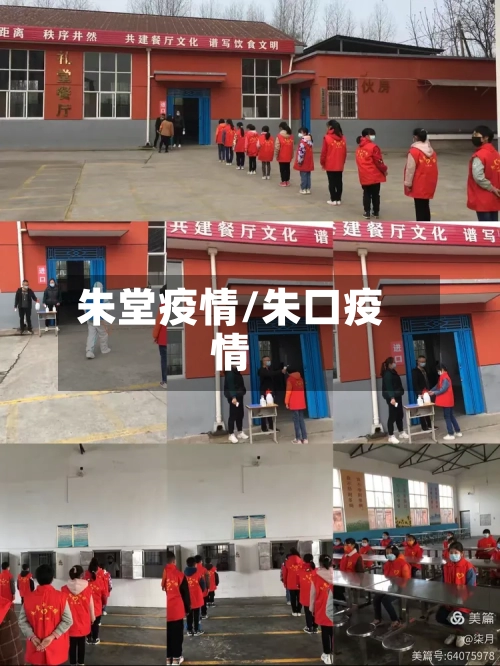 朱堂疫情/朱口疫情