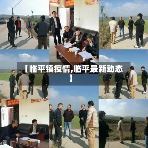 【临平镇疫情,临平最新动态】-第2张图片